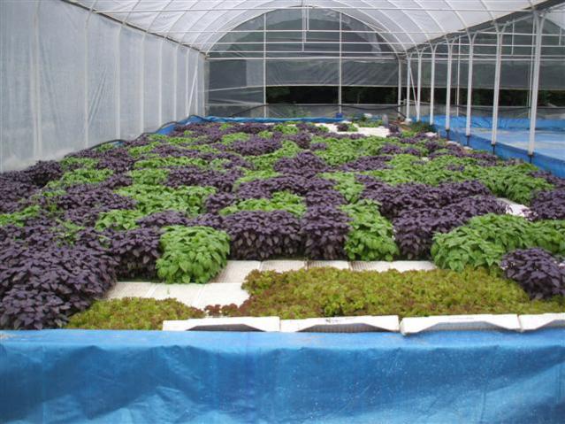 Name:  DSCF1357 (Small).jpg
Views: 1267
Size:  61.7 KB