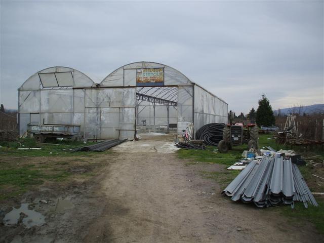 Name:  DSCF1248 (Small).JPG
Views: 9631
Size:  49.0 KB