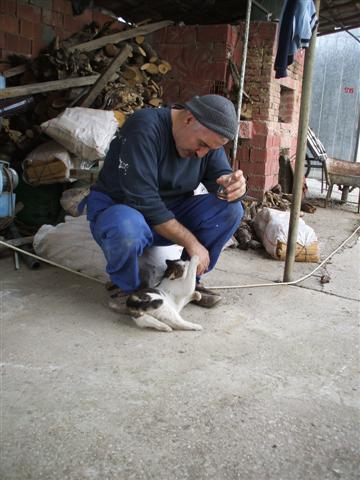 Name:  DSCF1264 (Small).JPG
Views: 9147
Size:  43.9 KB