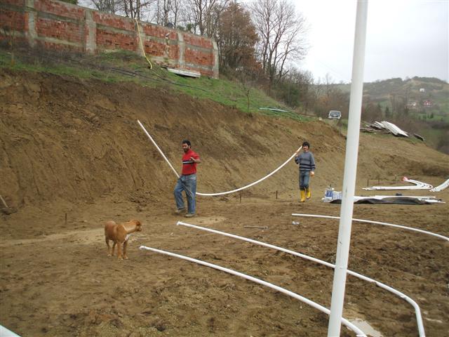Name:  DSCF1280 (Small).JPG
Views: 9000
Size:  69.0 KB