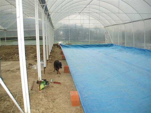 Name:  DSCF1328 (Small).JPG
Views: 9234
Size:  54.0 KB