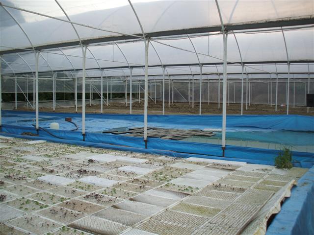 Name:  DSCF1334 (Small).JPG
Views: 9126
Size:  67.4 KB