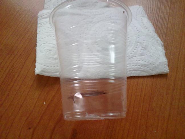 Name:  EmRe082.jpg
Views: 2259
Size:  33.8 KB