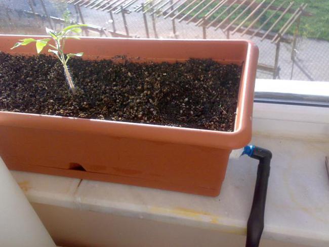 Name:  11.jpg
Views: 2746
Size:  41.1 KB