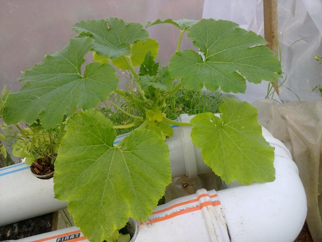 Name:  EmRe097.jpg
Views: 1492
Size:  42.0 KB