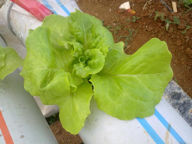 Name:  EmRe098.jpg
Views: 1491
Size:  43.1 KB