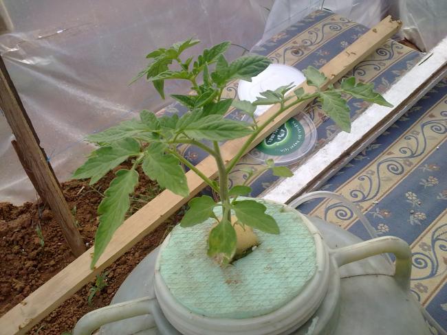 Name:  EmRe099.jpg
Views: 1501
Size:  56.2 KB