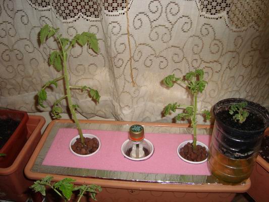 Name:  Resize of DSC05347.JPG
Views: 2914
Size:  59.1 KB