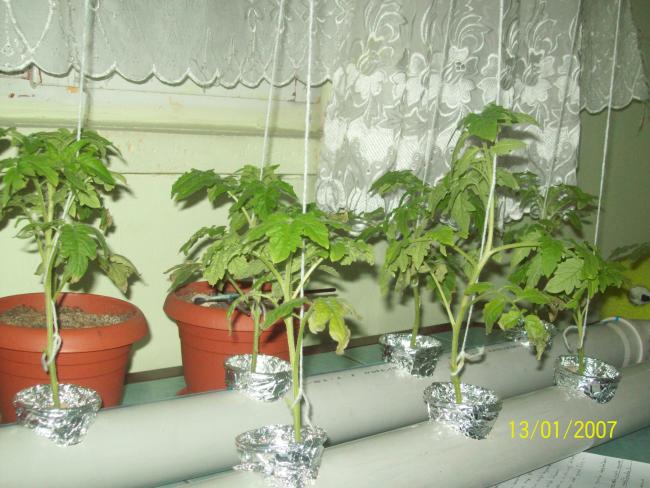 Name:  aaaaa 006.jpg
Views: 2661
Size:  55.5 KB