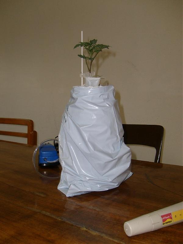 Name:  sahibinden_sahibinden_S7300063.jpg
Views: 55832
Size:  36.9 KB