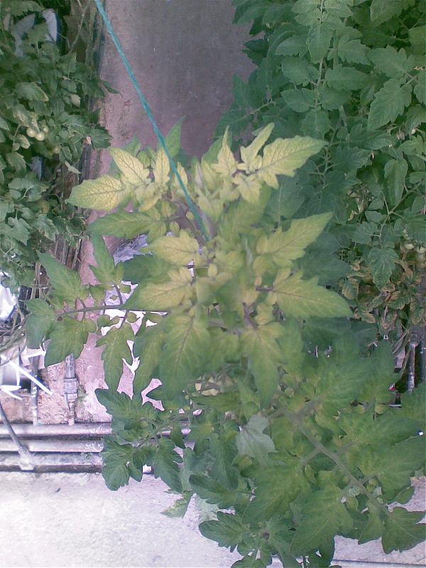 Name:  Grnt022.jpg
Views: 52726
Size:  87.2 KB