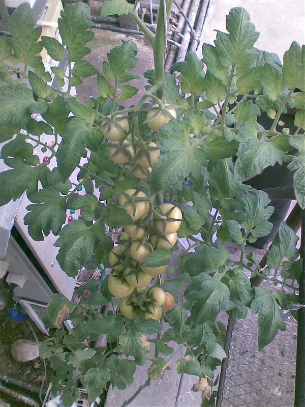 Name:  Grnt024.jpg
Views: 52324
Size:  102.4 KB