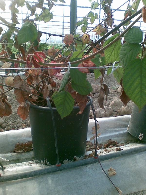 Name:  sahibinden_Grnt061.jpg
Views: 20484
Size:  90.9 KB