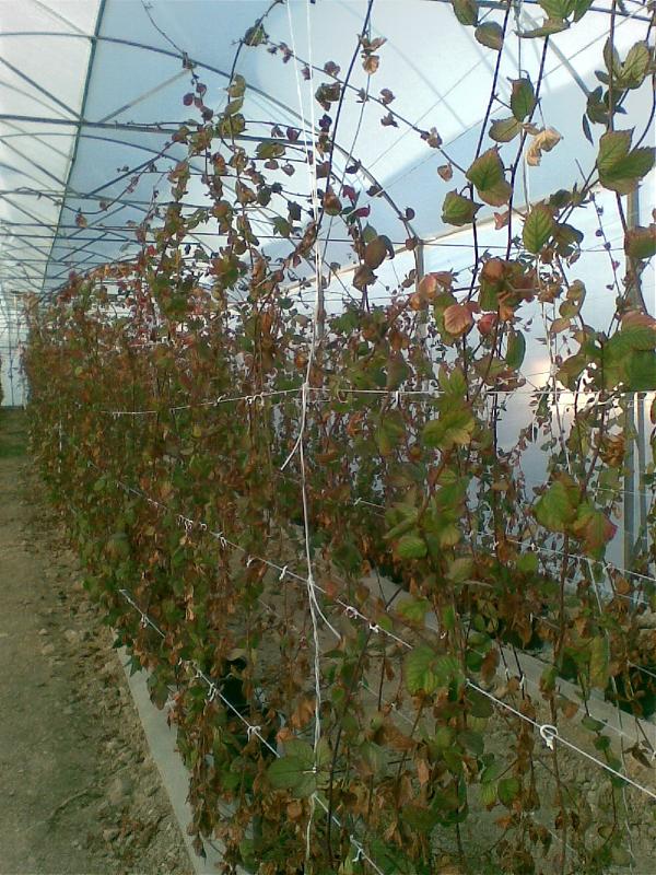 Name:  sahibinden_Grnt060.jpg
Views: 19252
Size:  115.6 KB