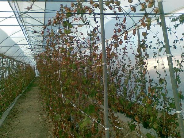 Name:  sahibinden_Grnt063.jpg
Views: 22336
Size:  76.4 KB