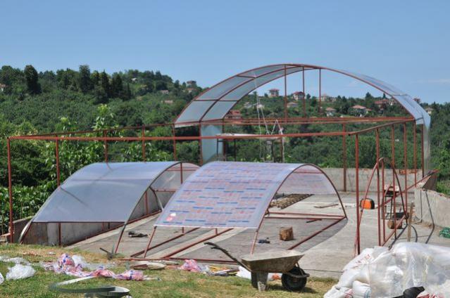 Name:  18Haziran2012-sera kuruluyor7.jpg
Views: 11925
Size:  47.9 KB