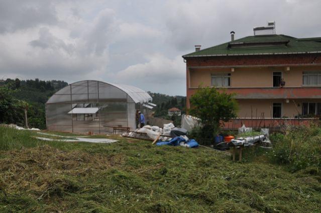 Name:  27Haziran2012-sera kuruluyor28.jpg
Views: 9867
Size:  42.1 KB