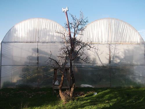 Name:  DSCF5726.JPG
Views: 7180
Size:  62.1 KB