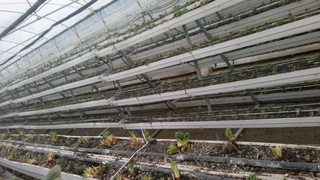 Name:  2013-02-16-082.jpg
Views: 1733
Size:  58.4 KB