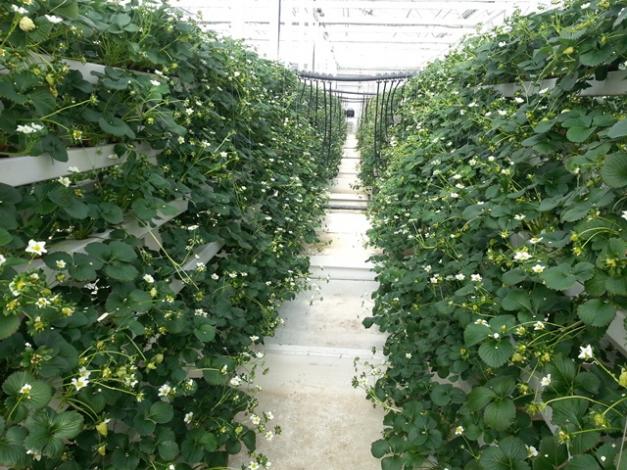 Name:  20130219_121811.jpg
Views: 3827
Size:  71.6 KB