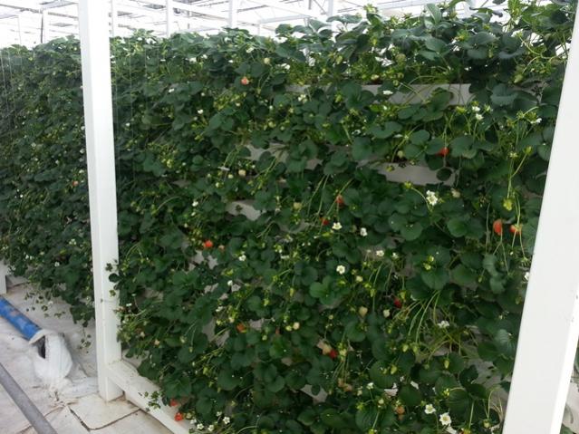 Name:  20130306_092153.jpg
Views: 2221
Size:  62.8 KB