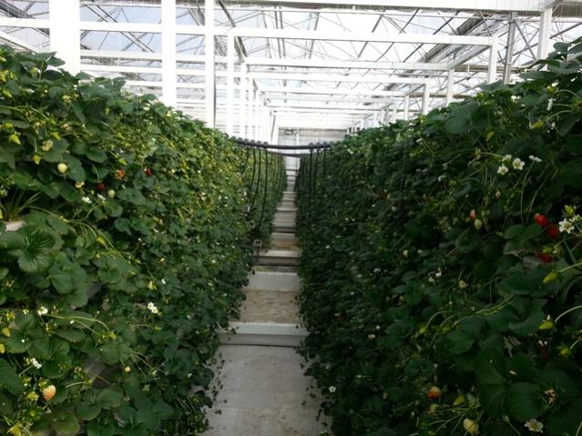 Name:  20130306_092211.jpg
Views: 2171
Size:  63.7 KB