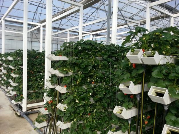 Name:  20130306_092220.jpg
Views: 2280
Size:  71.5 KB