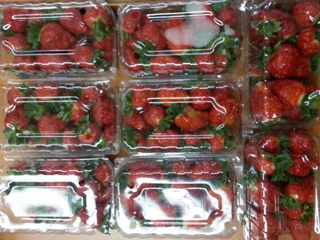 Name:  20130306_140006.jpg
Views: 2134
Size:  63.9 KB