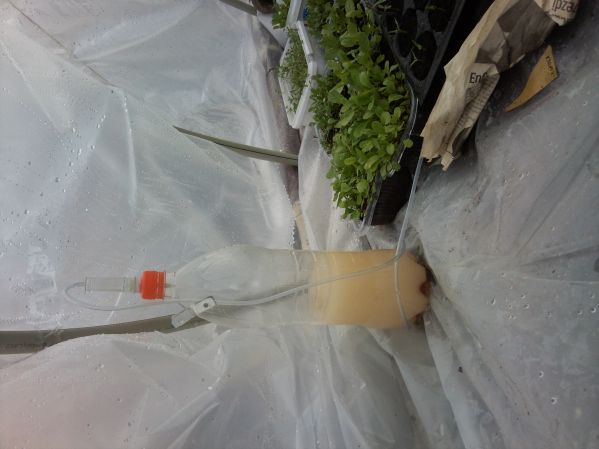 Name:  CO2.jpg
Views: 2415
Size:  53.0 KB