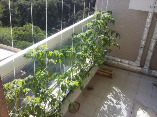 Name:  yenieri1.jpg
Views: 2124
Size:  51.8 KB