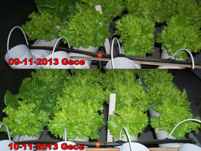 Name:  karst.jpg
Views: 3513
Size:  62.5 KB