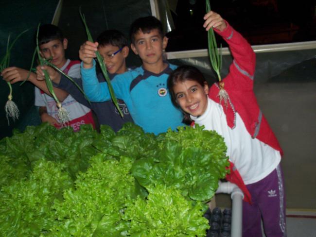 Name:  15-11-2013_06.jpg
Views: 1452
Size:  43.9 KB