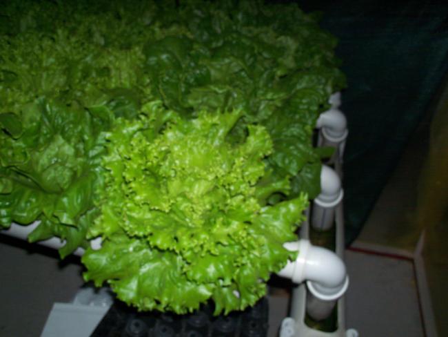 Name:  16-11-2013_06.jpg
Views: 1285
Size:  36.3 KB