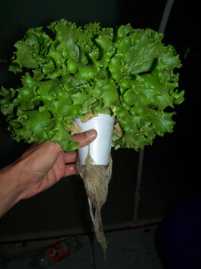Name:  16-11-2013_08.jpg
Views: 1252
Size:  55.1 KB