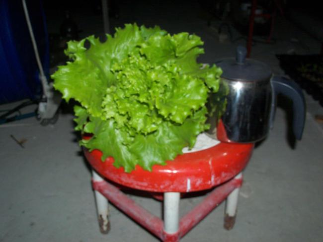 Name:  16-11-2013_10.jpg
Views: 1286
Size:  30.9 KB