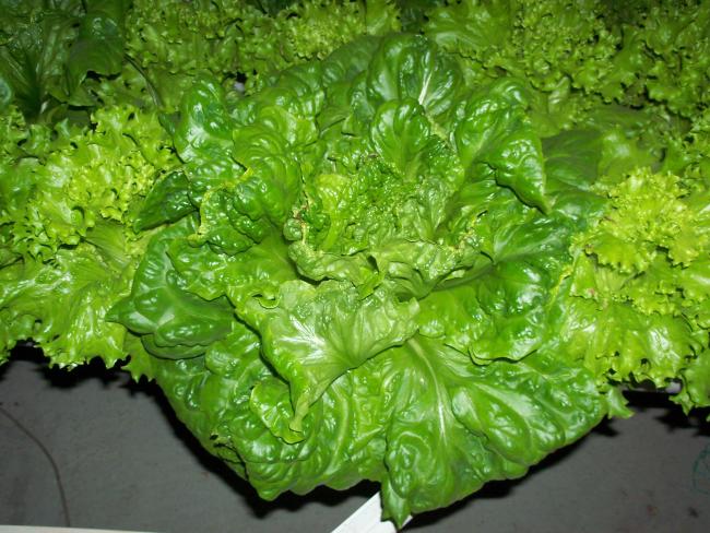 Name:  19-11-2013_01.jpg
Views: 1741
Size:  66.0 KB