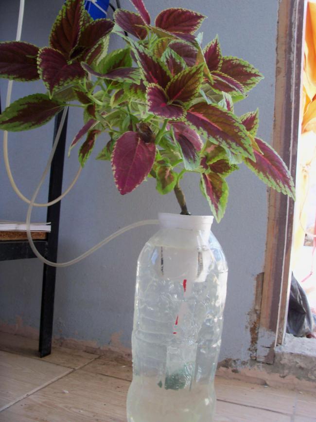 Name:  004.jpg
Views: 1381
Size:  68.5 KB