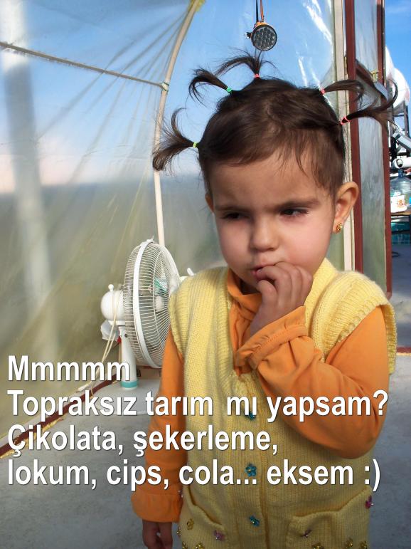 Name:  007.jpg
Views: 1387
Size:  73.2 KB