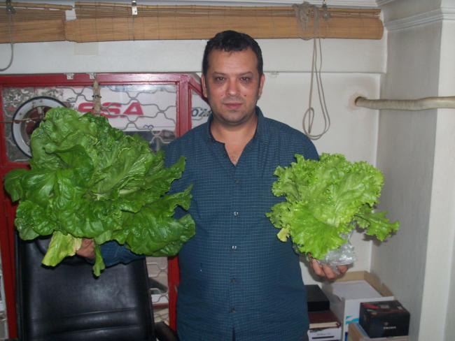 Name:  100_4154.jpg
Views: 2122
Size:  43.7 KB