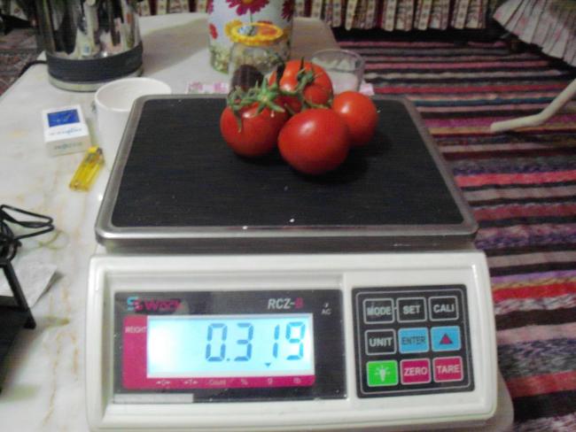 Name:  Agac-2.jpg
Views: 1214
Size:  42.8 KB