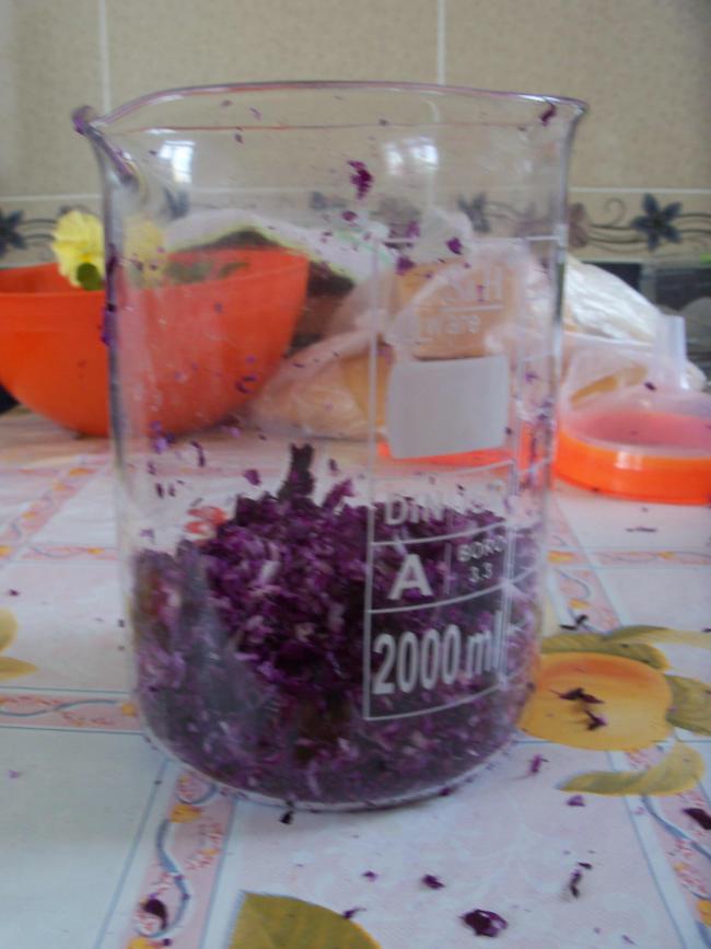 Name:  PH_Karalahana_03.jpg
Views: 1359
Size:  52.4 KB