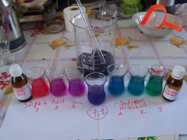 Name:  PH_Karalahana_10.jpg
Views: 1365
Size:  43.2 KB