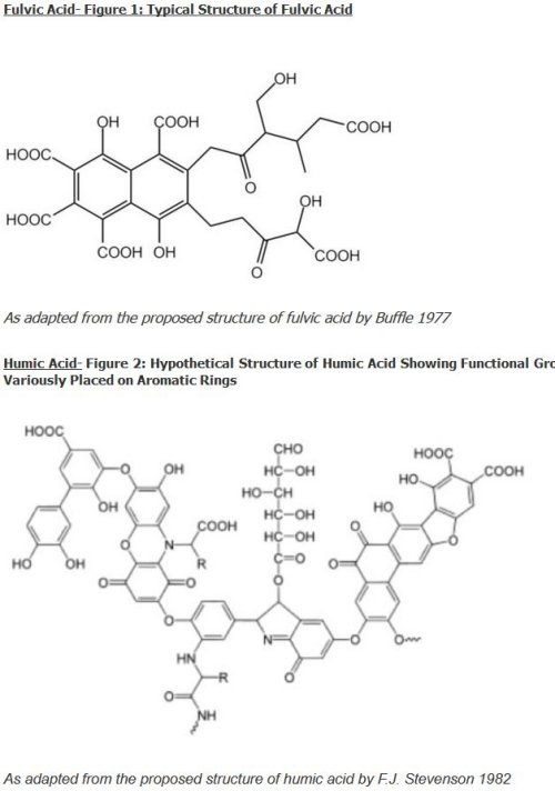 Name:  fulvic acid.JPG
Views: 3866
Size:  39.1 KB