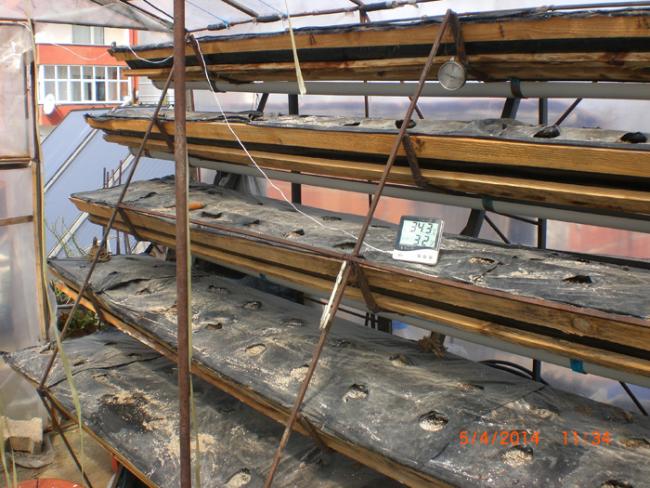 Name:  ilekdikim.jpg
Views: 2183
Size:  65.2 KB