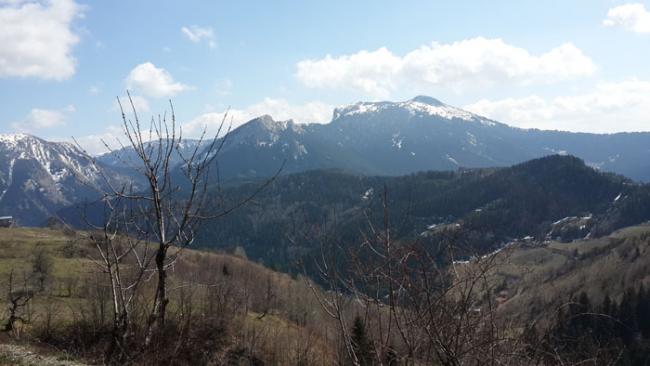 Name:  14.jpg
Views: 2085
Size:  31.9 KB