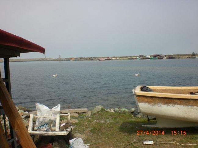 Name:  kuu1.jpg
Views: 1928
Size:  34.7 KB