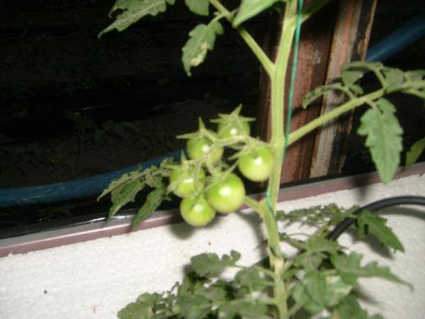 Name:  sahibinden_S7301786.jpg
Views: 5841
Size:  34.9 KB