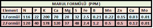 Name:  marul forml.jpg
Views: 1439
Size:  46.6 KB