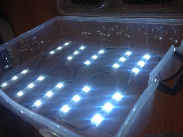 Name:  IMG_4238.jpg
Views: 1592
Size:  31.7 KB