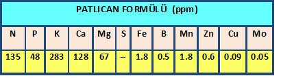 Name:  patlcan1.jpg
Views: 2149
Size:  41.3 KB